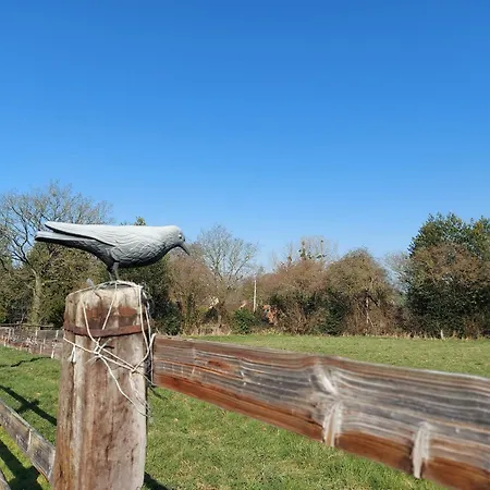 Les Gallinettes Neuilly-le-Vendin