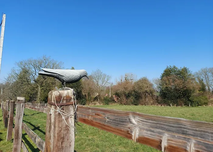 Les Gallinettes Neuilly-le-Vendin